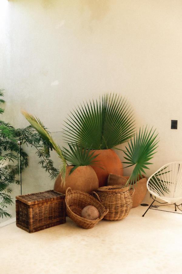 16Tulum Hotel Ngoại thất bức ảnh